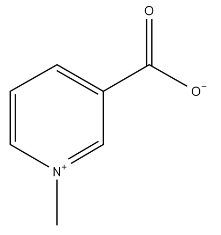 Trigonelline（CAS:535-83-1）