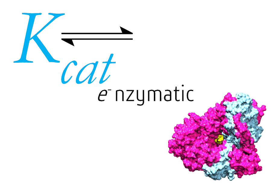 Kcat Enzymatic Private Limited