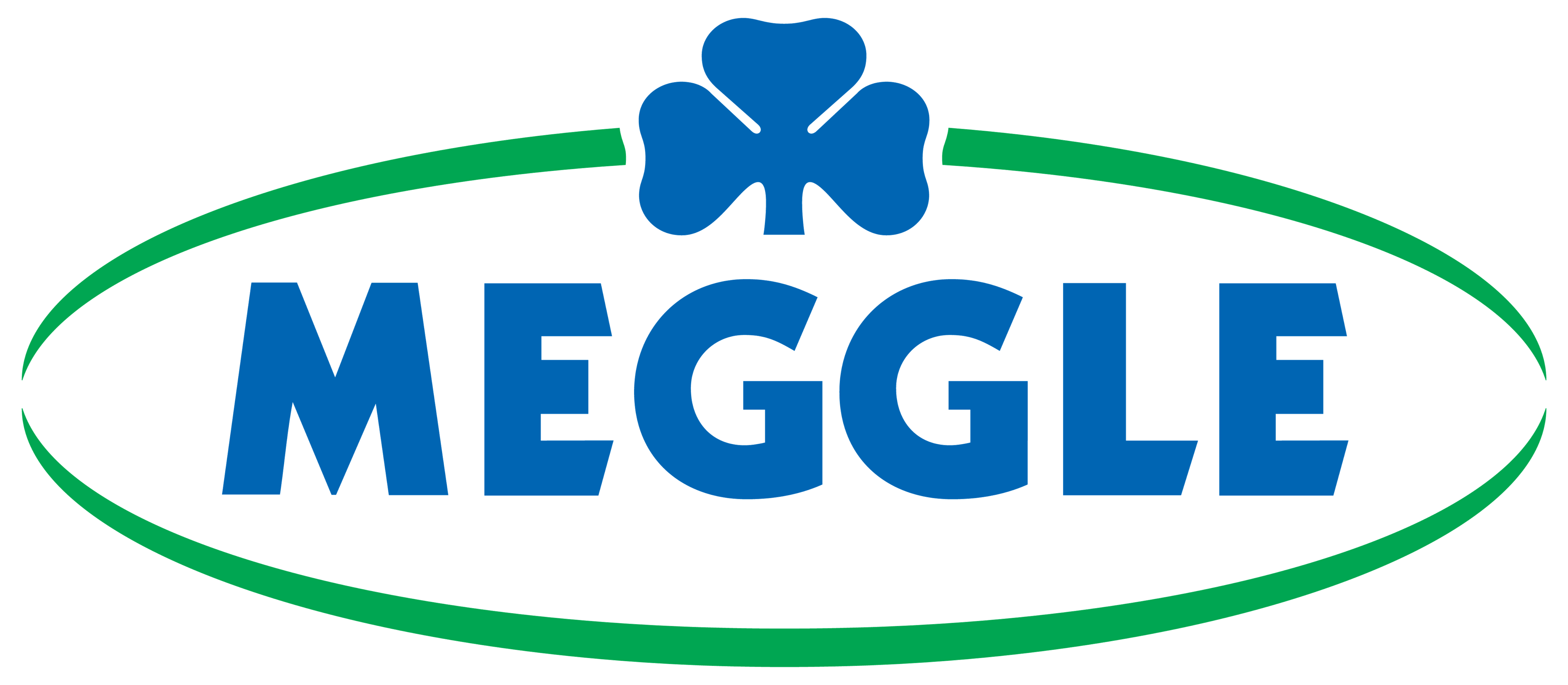 MEGGLE GmbH & Co. KG
