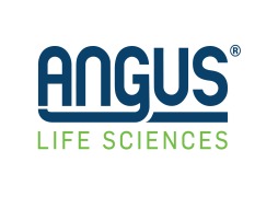 Angus Chemie gmbh Succursale France SA