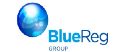 BlueReg Group