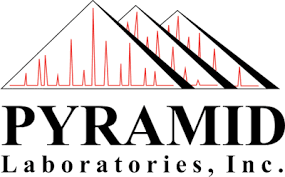 Pyramid Labs