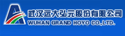 Wuhan Grand Hoyo Co.,Ltd