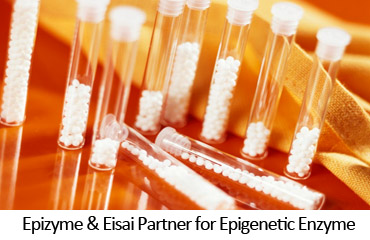 Epizyme & Eisai Partner for Epigenetic Enzyme
