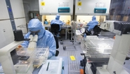 U.S. Biotech Companies Decrease R&D Spend, Study Finds