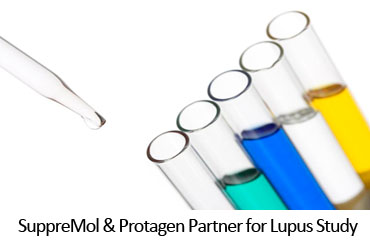 SuppreMol & Protagen Partner for Lupus Study