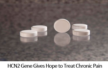 HCN2 Gene Gives Hope to Treat Chronic Pain