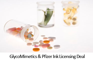 GlycoMimetics & Pfizer Ink Licensing Deal