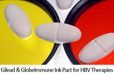 Gilead & GlobeImmune Ink Pact for HBV Therapies