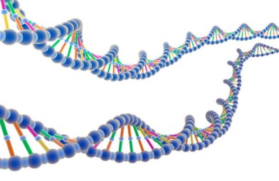 The Curtain Rises On DNA–Protein Interactions