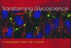 Renewed Focus On Glycoscience