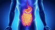 Researchers discover biomarkers for IBD