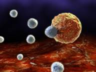 Immunocore Initiates Phase IIa Clinical Trial for IMCgp100 in Melanoma