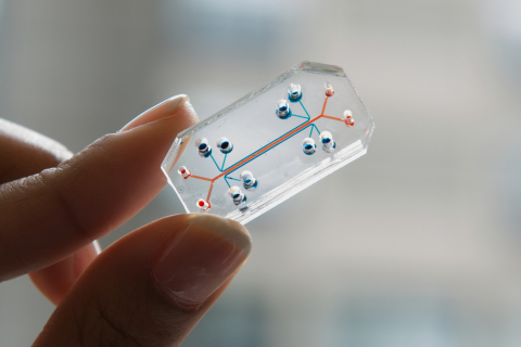 Organs-on-Chips that Mimic Human Biology Go Commercial from Harvard Spin-Out, Emulate Inc.