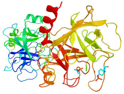 Merck's SOLu-Trypsin enzyme brings stability to mass spectrometry