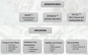 Separations and Purification Resins