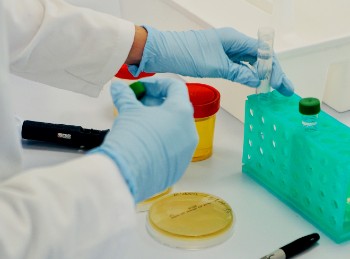 Collaboration on track to develop new antibiotic resistance technology