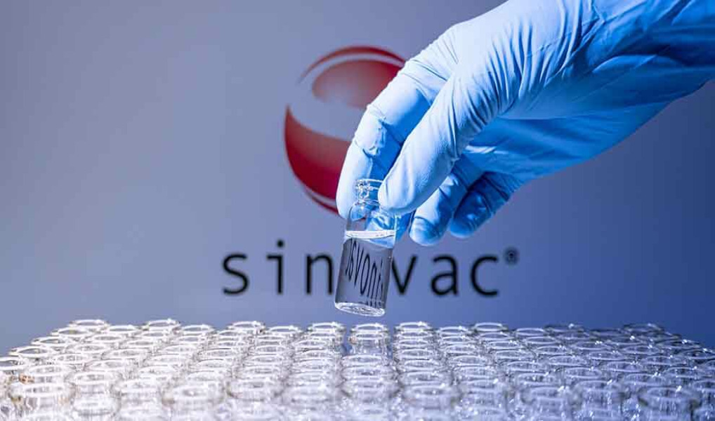 Sinovac Biotech signs up to supply COVAX with CoronaVac