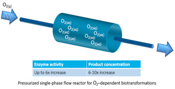 Intensification Boost for Enzymatic Liquid/Gas Processes by means of Continuous Flow Processing
