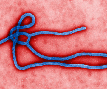 Merck to donate new Ebola vaccine to defend against outbreaks in Uganda