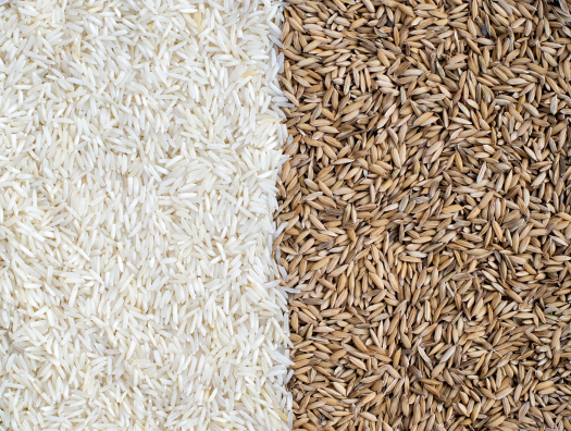 Novel approach to creating sustainable packaging from rice husks