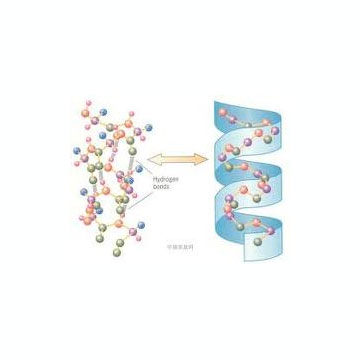 Gemcitabine Base other active pharmaceutical ingredients