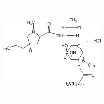 Clindamycin Palmitate Hydrochloride lincomycin