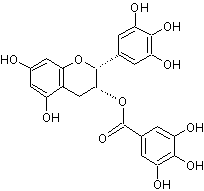 High purity (-)-Epigallocatechin gallate (EGCG)