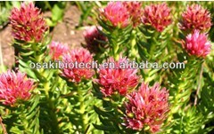 nature rhodiola rosea extract