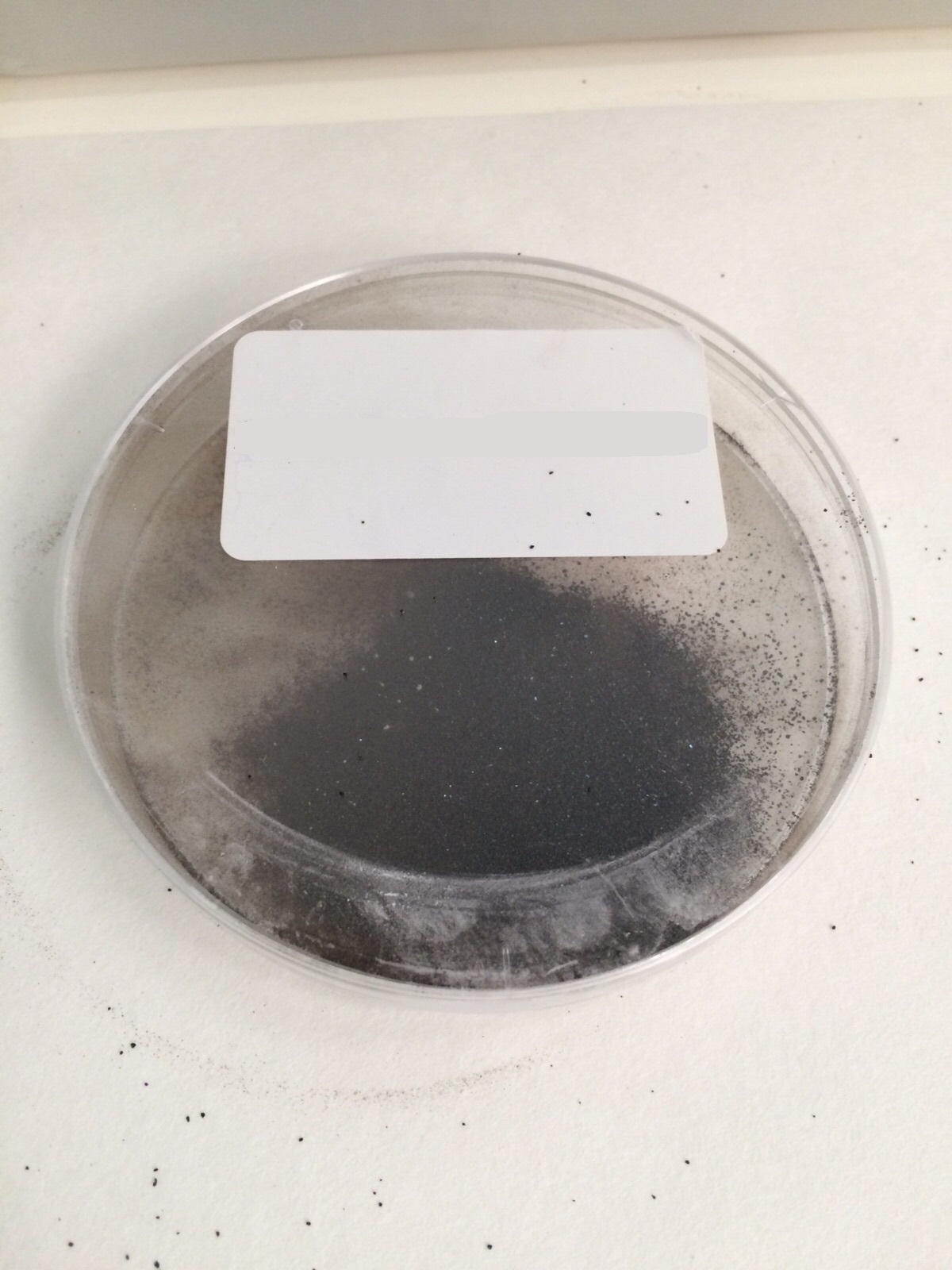 Silver Protein Acetyltannate with Borax