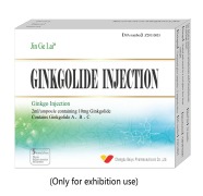 Ginkgolide injection