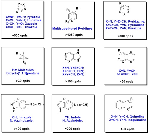 CRO and CDMO services, an expert  for heterocycles