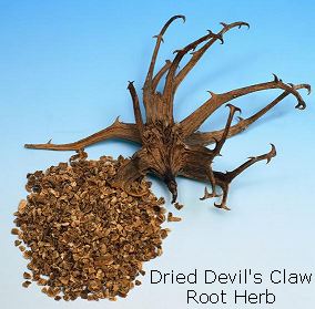 Devil's Claw Root extract  Harpagoside