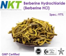 Berberis Extract (Berberine HCl 97%)
