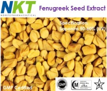 Fenugreek Seed Extract (Saponins, 4-Hydroxyisoleucine)