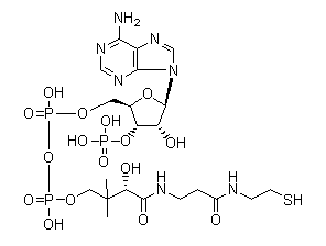 Coenzyme A, free acid