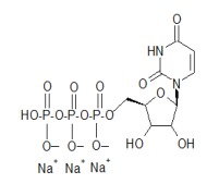 Uridine 5'-triphosphate,trisodium salt hydrate(UTP)