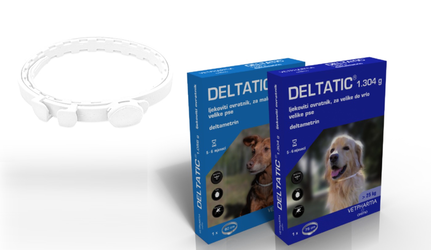 MEDICINAL COLLAR FOR DOGS