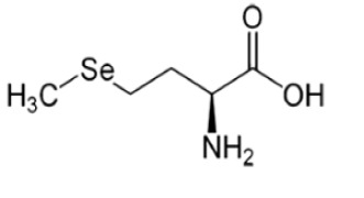 l-selenomethionine