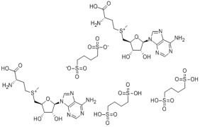 Ademetionine 1,4-Butanedisulfonate, CAS No. 101020-79-5