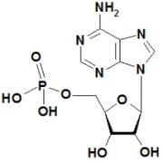 Adenosine-5'-monophosphate, Free acid-food grade, CAS No. 61-19-8