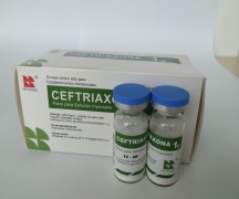 Ceftriaxone Sodium for Injection