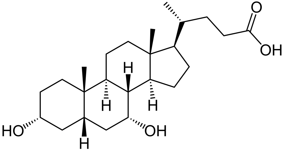 Chenodeoxycholic Acid ( CDCA)