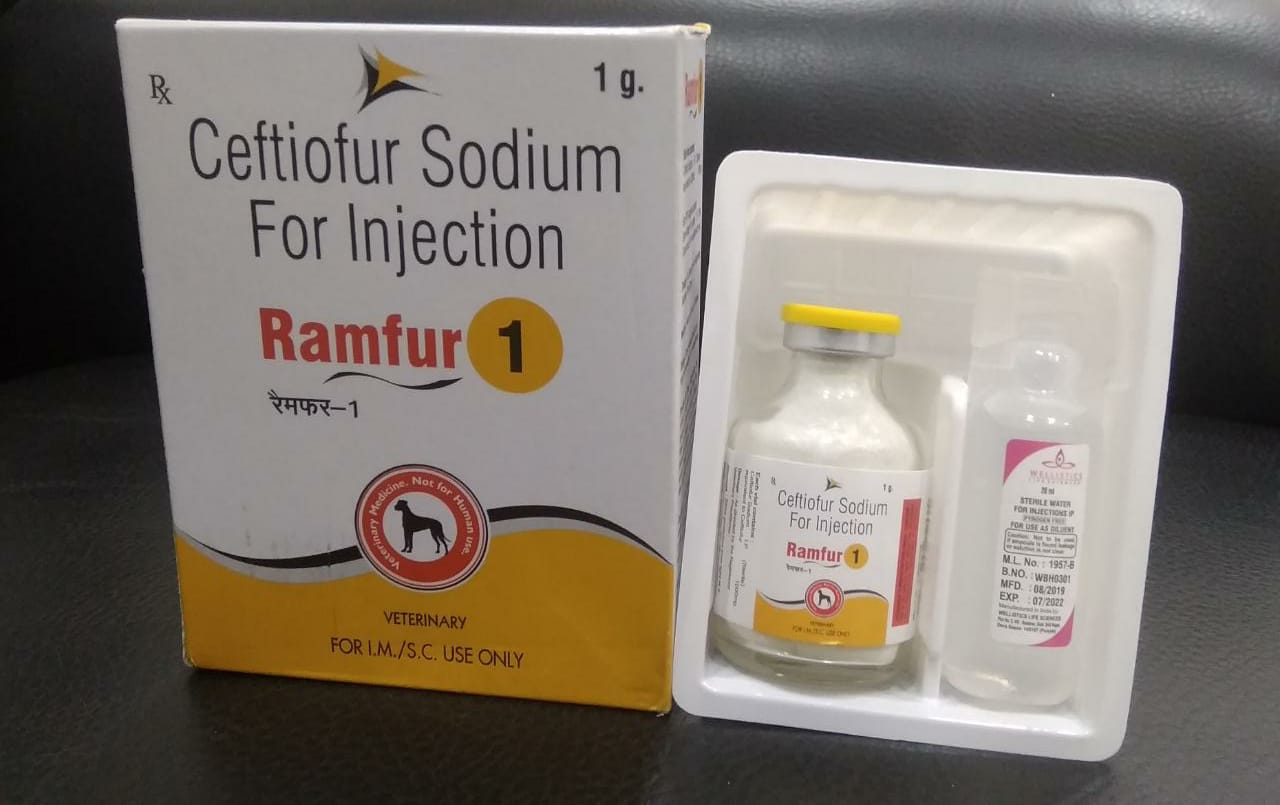 Ceftifour Sodium 1gm Iskon Remedies Cphi Online