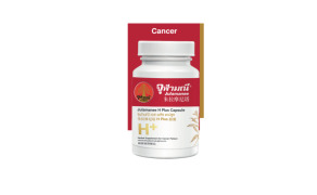 Herbal Medicine H Plus (Julamanee Brand)