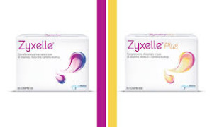Zyxelle ® & Zyxelle ® Plus