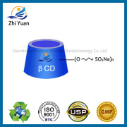 Betadex Sulfobutyl Ether Sodium Binzhou Zhiyuan