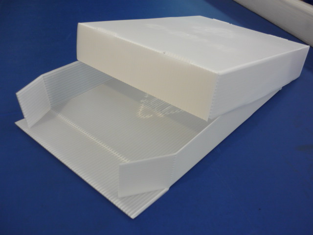Trays and Lids in corrugated PP
