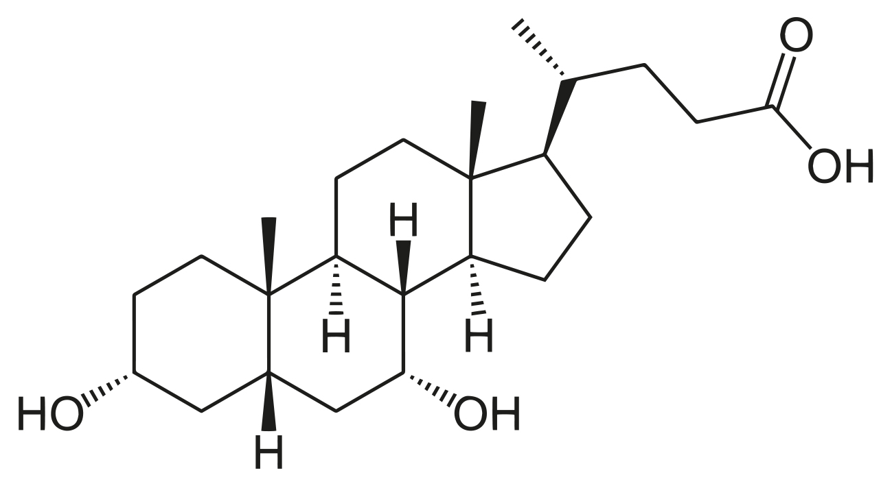 Chenodeoxycholic Acid*