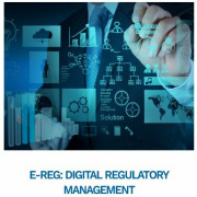 e-Reg: management of Regulatory Affairs' big data